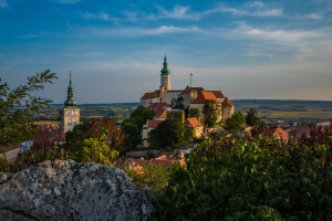 XVIII. seminář mladých revmatologů