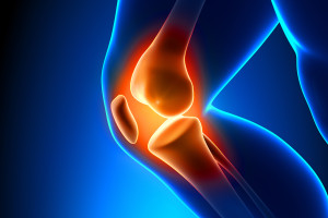 Intraartikulární aplikace kortikosteroidů zhoršuje osteoartrózu kolenních kloubů
