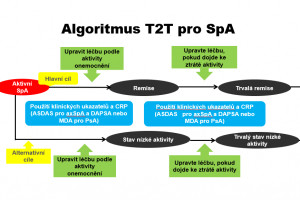 Biologická léčba non-radiografických axiálních spondyloartritid